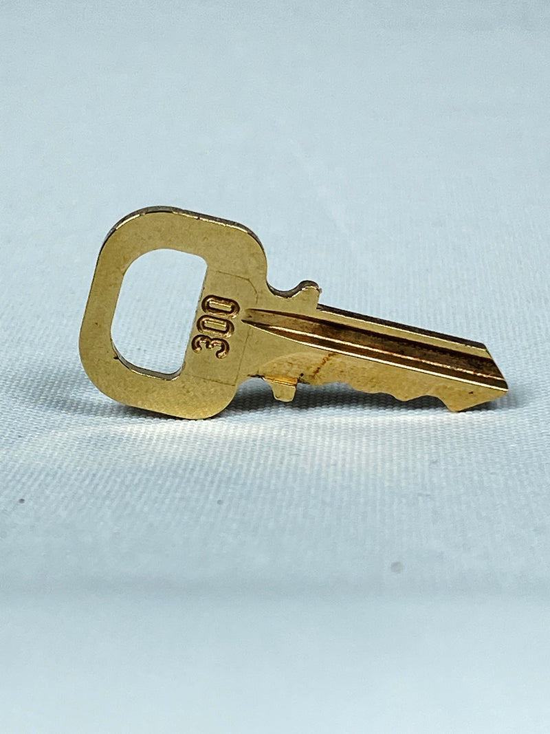 LOUIS VUITTON - PADLOCK & KEY SET #300