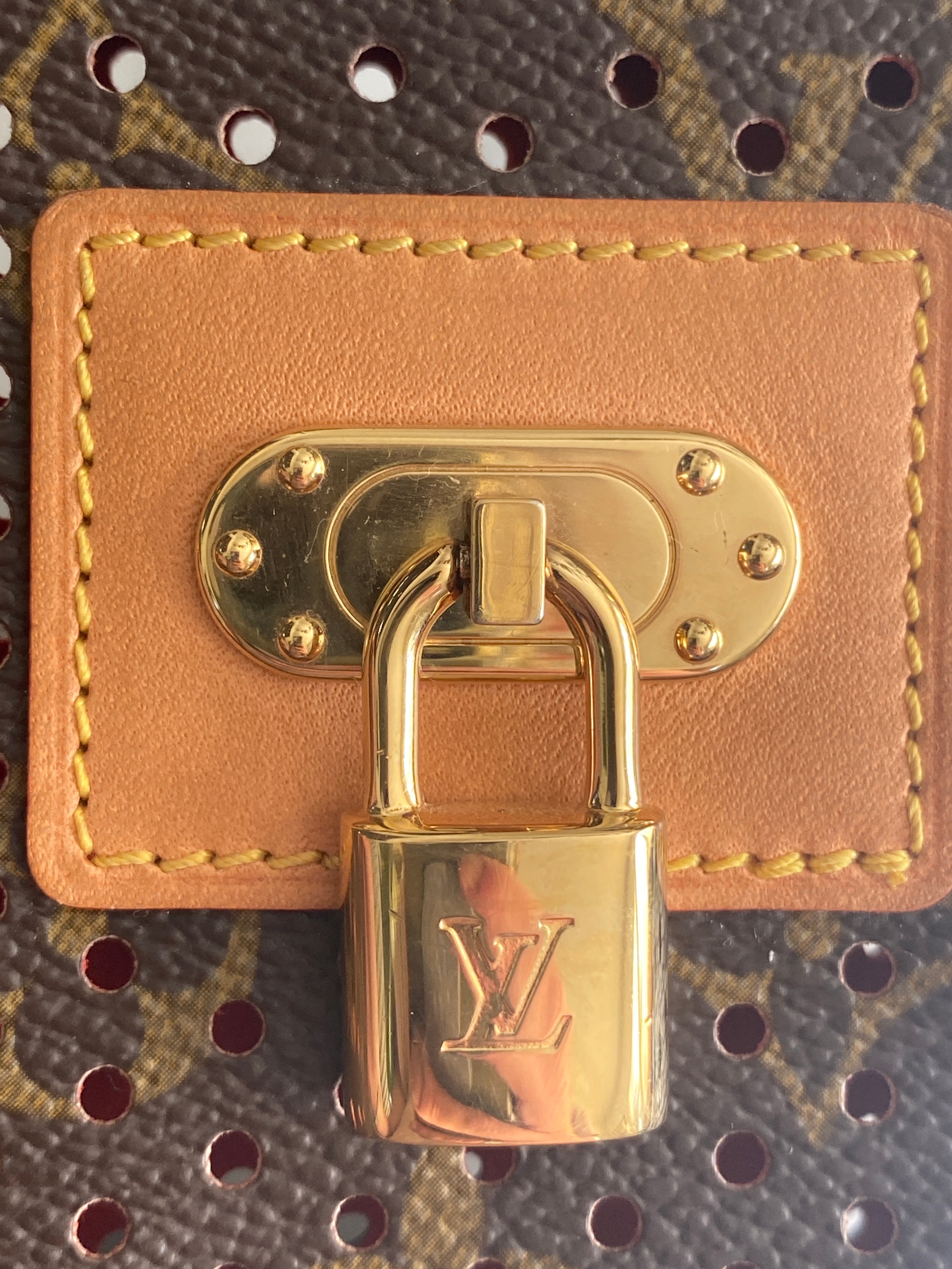 Louis-Vuitton-Monogram-Perforated-Pochette-Accessoires-M95183 –  dct-ep_vintage luxury Store