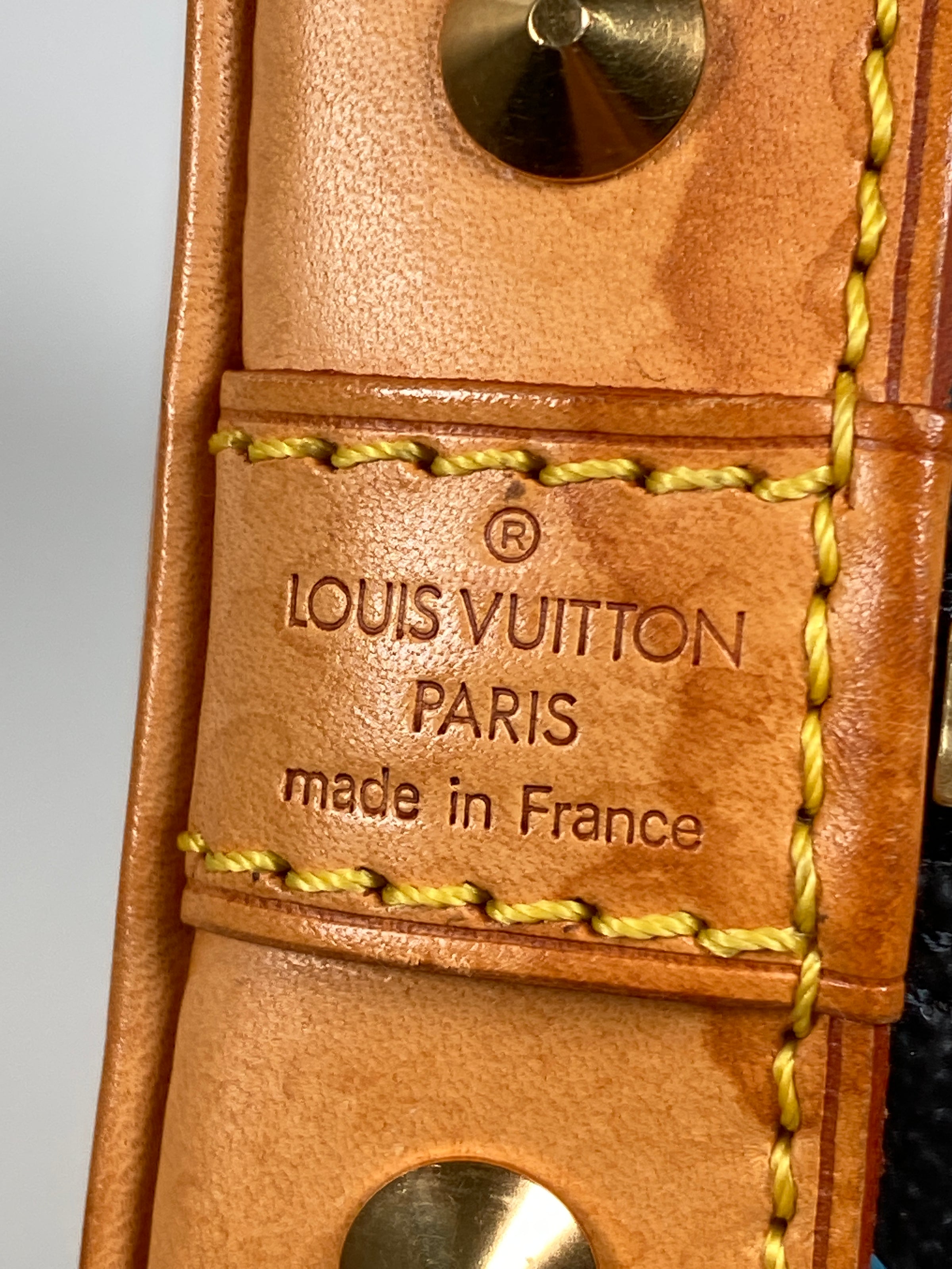 LOUIS VUITTON ALMA PM BAG IN WHTE MULTICOLORE MONOGRAM CANVAS – RE.LUXE AU