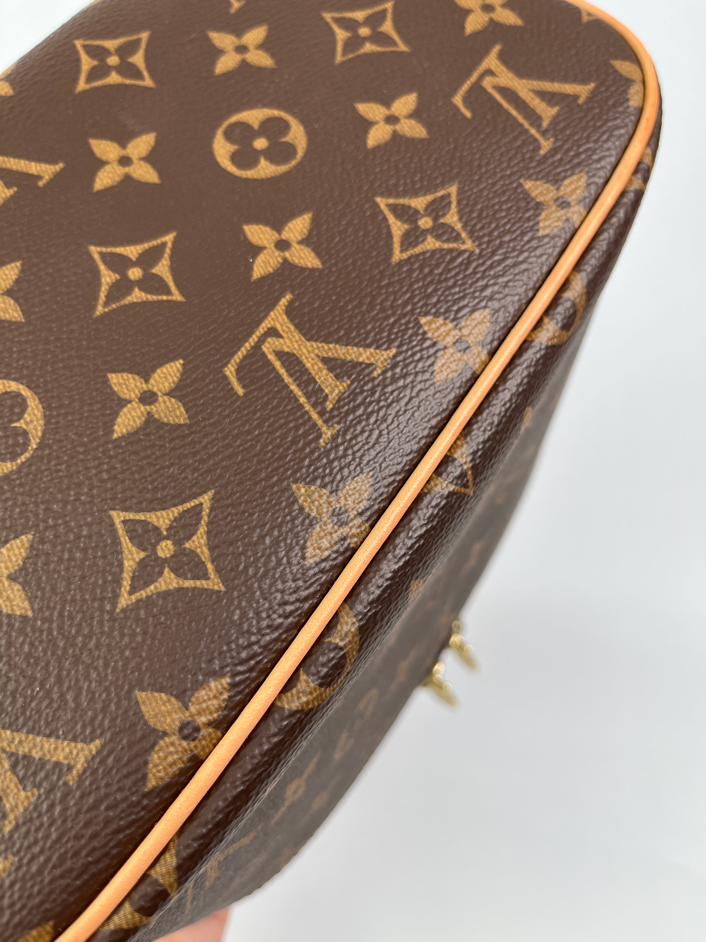 LOUIS VUITTON - NICE BB TRAVEL CASE IN MONOGRAM CANVAS – RE.LUXE AU