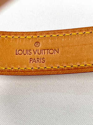 LOUIS VUITTON - BAXTER VACHETTA VVN DOG LEAD