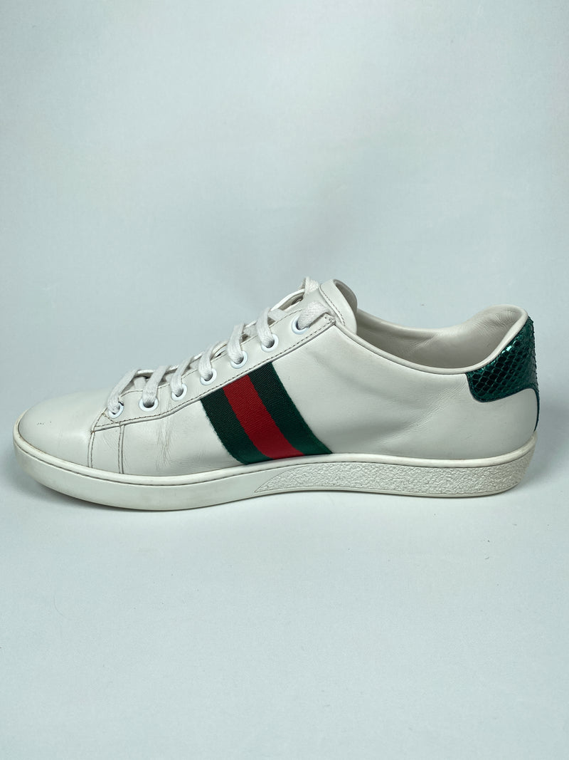 GUCCI - ACE SAFETY PIN SNEAKER - Sz 38.5 *fits large